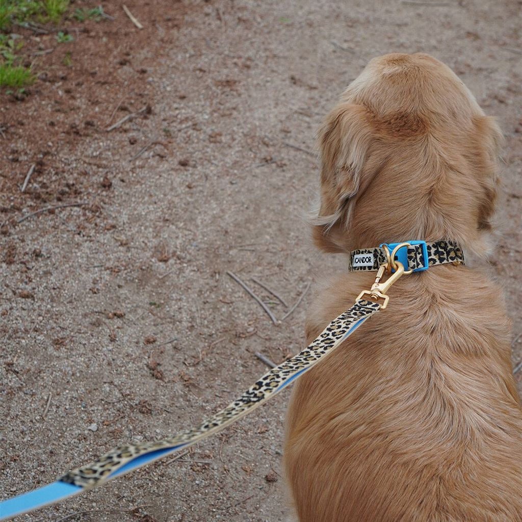 dab9f8b0d4c5b65e63cd1a98452388ee