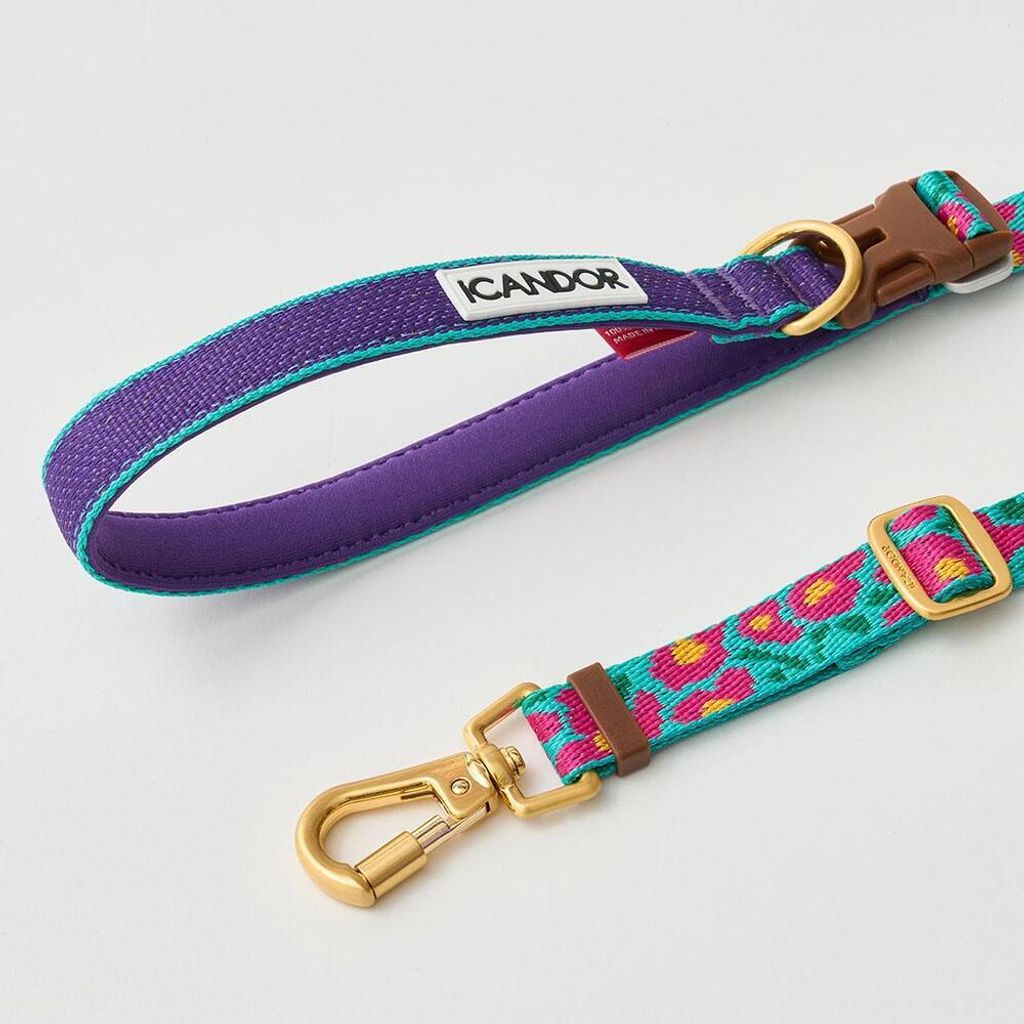 d11e4f9cebccd3d2c11ea8b641252866