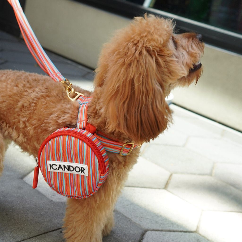 1525e78155fe24bf1b2bee272fc0f570