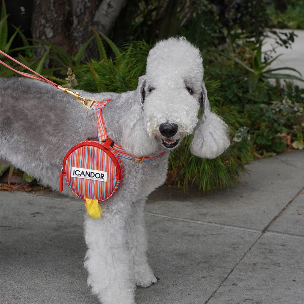 55674d4c7c3d6bb39ce8d13cfee582f7