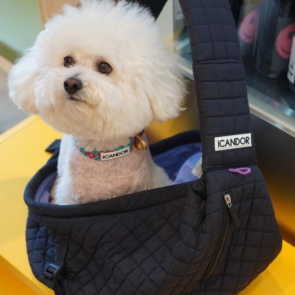 ab2c89295be9112030a9c87c9108b965dd4ffc4