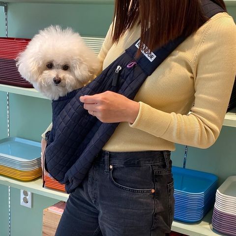 1089580cb6746f864215dd4f65e21a566b72a7c