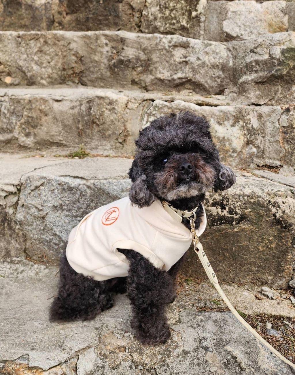 LINE_ALBUM_1_240305_141