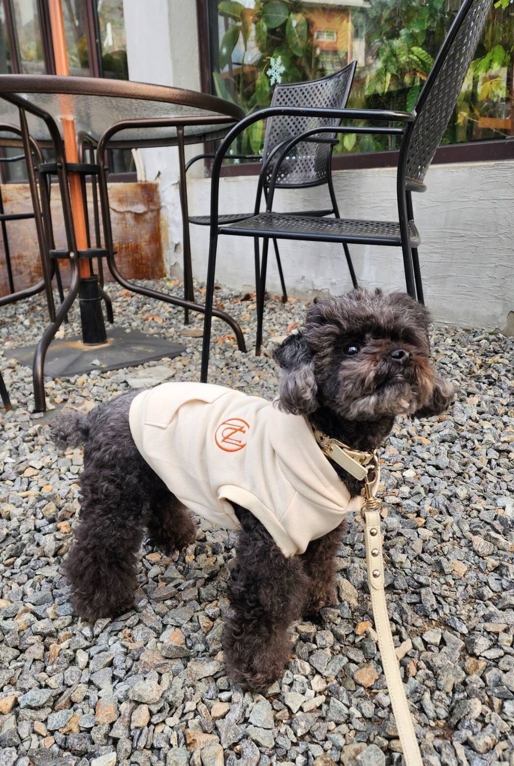 LINE_ALBUM_1_240305_89