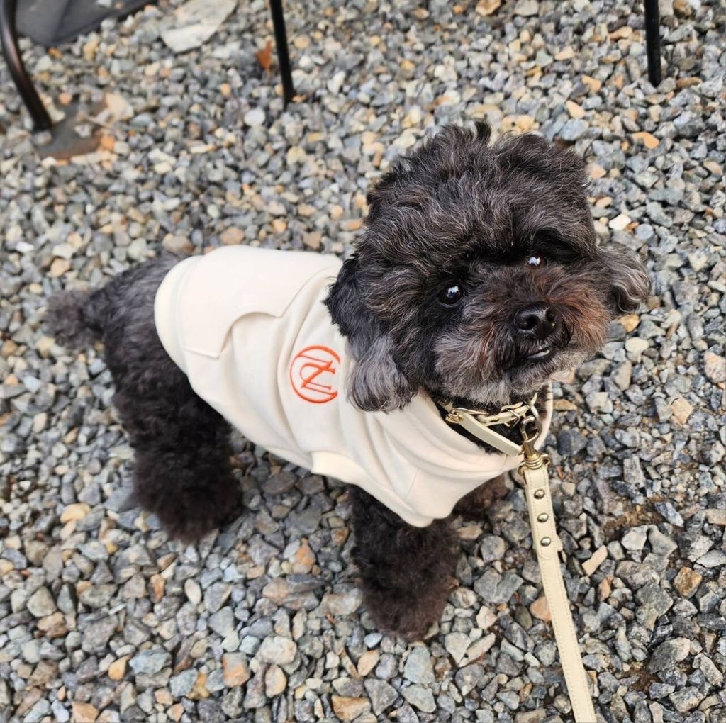 LINE_ALBUM_1_240305_77