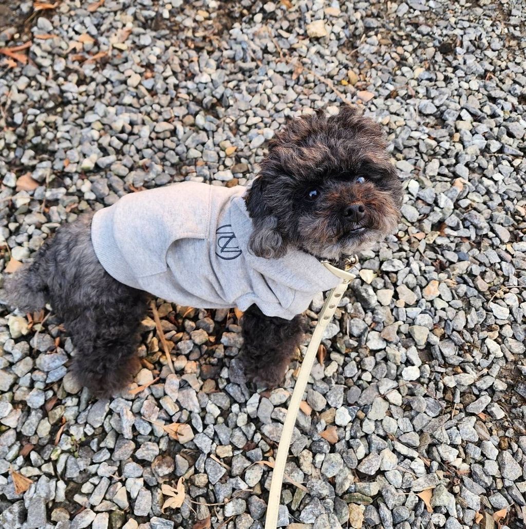 LINE_ALBUM_1_240305_26