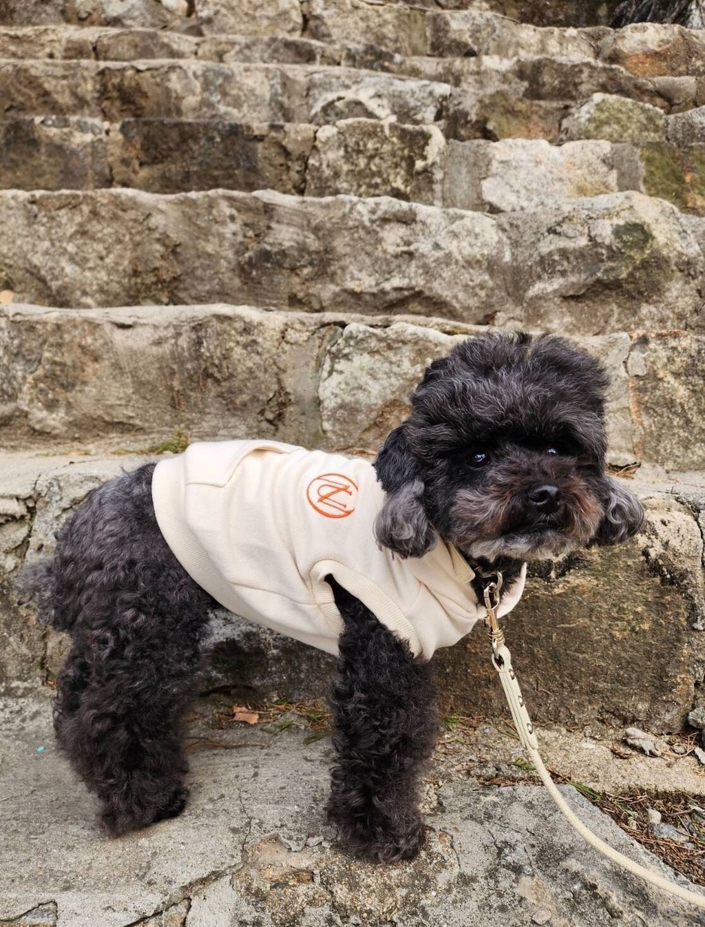 LINE_ALBUM_1_240305_140