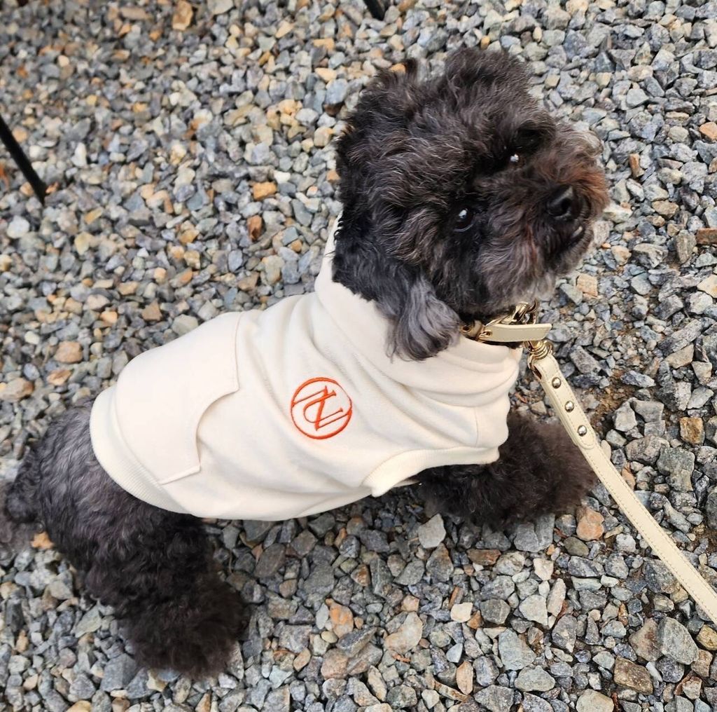 LINE_ALBUM_1_240305_86