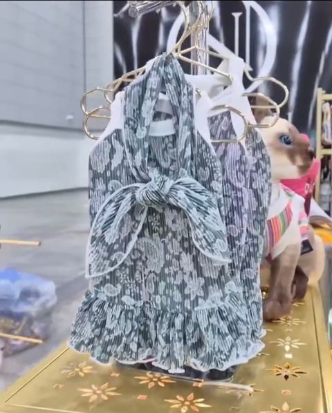 IMG_2180-1713965948358