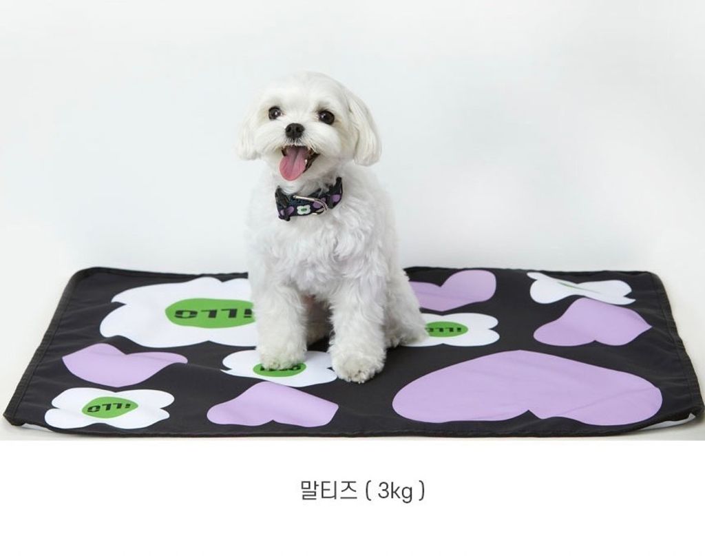 IMG_2211-1713967949125