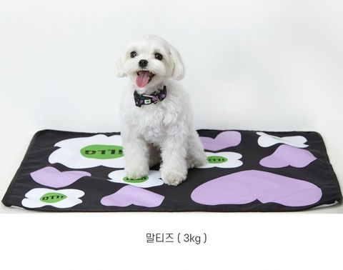 IMG_2211-1713967949125