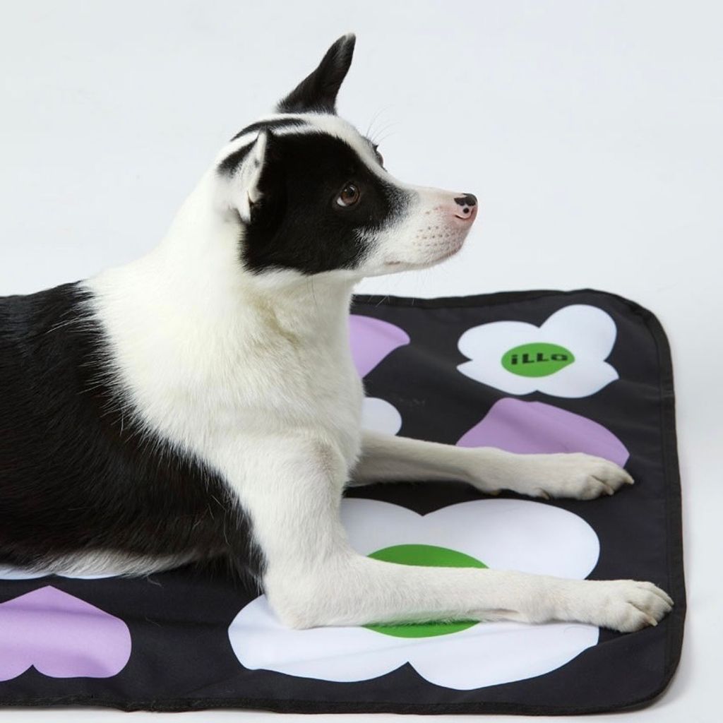 IMG_2214-1713967949146