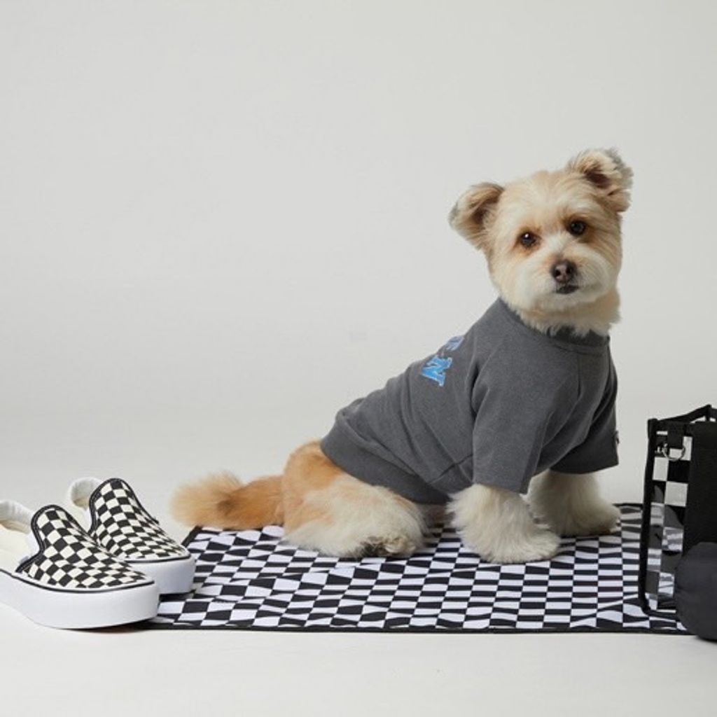 IMG_2216-1713967949160