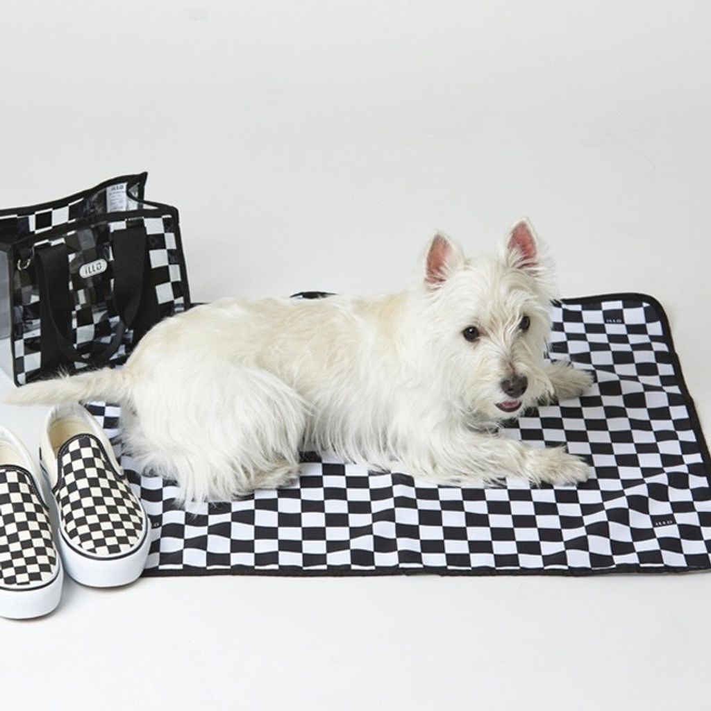 IMG_2217-1713967949168