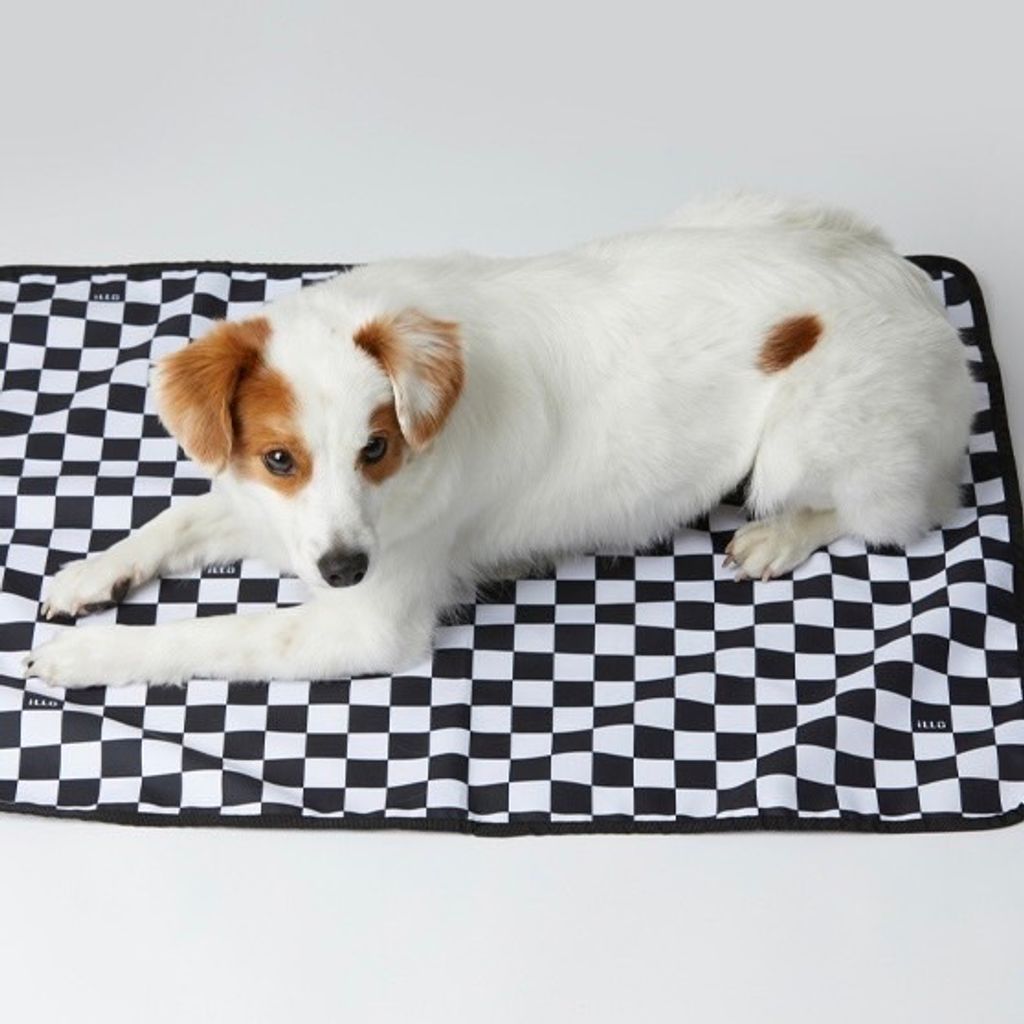 IMG_2218-1713967949175