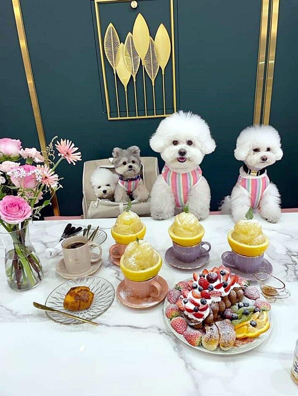 IMG_20240227_194842_208