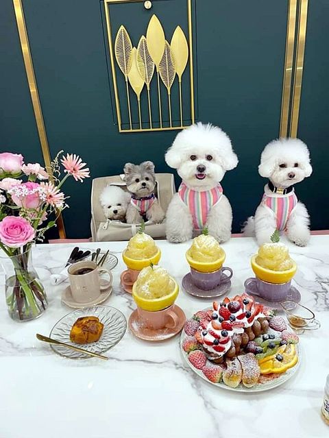 IMG_20240227_194842_208