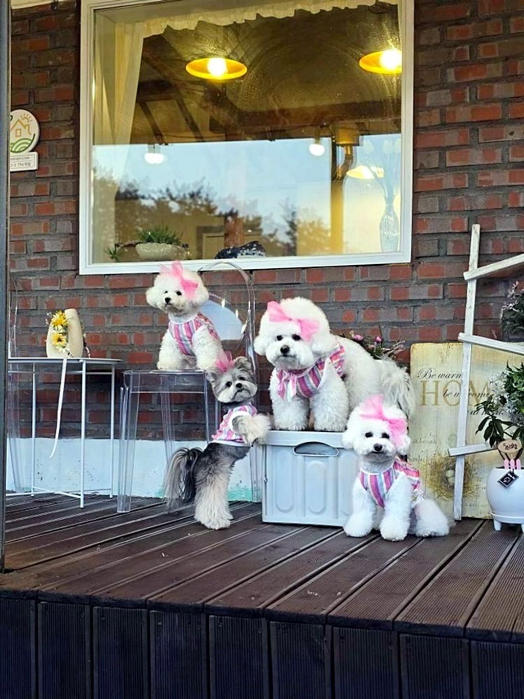 IMG_20240226_211910_168