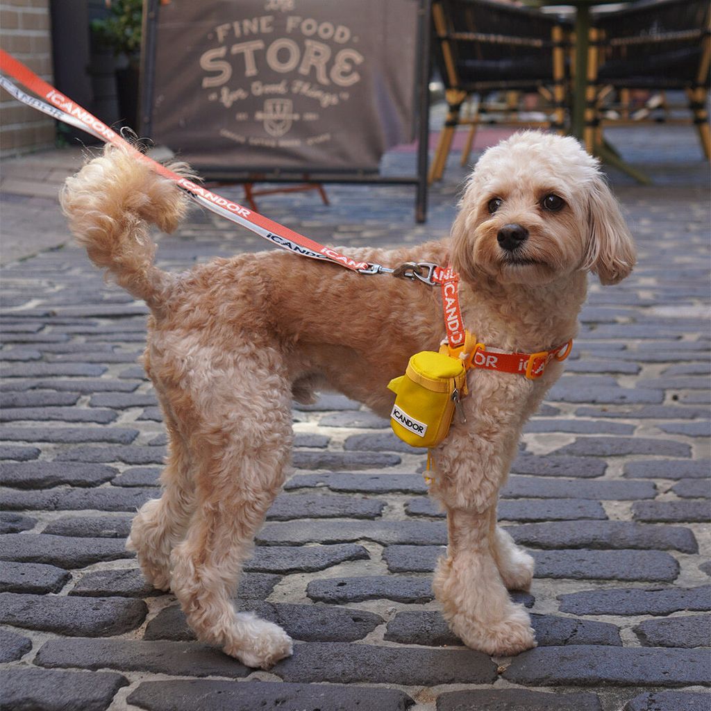 5c5341c9b303060da7676072d2f5f98e