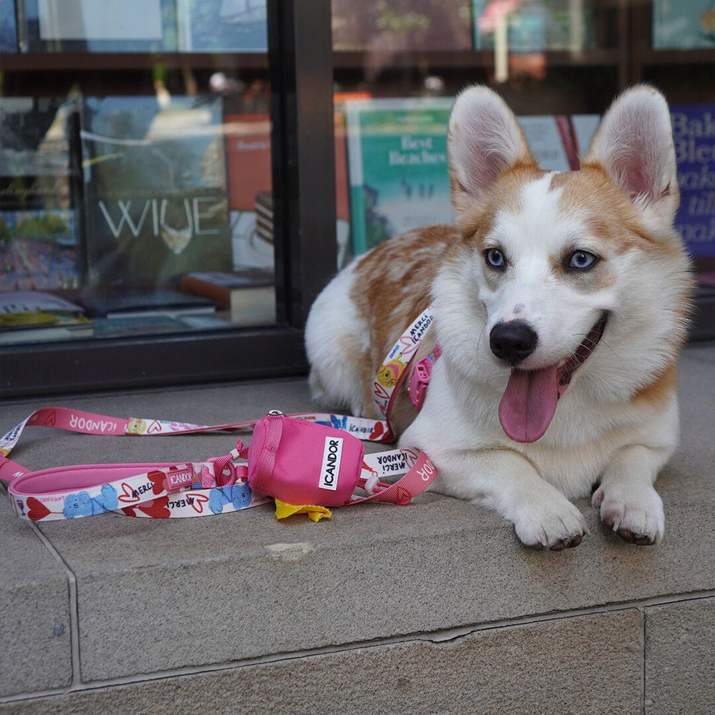 5e6ddf0143710e31e105fac5c0ea742b