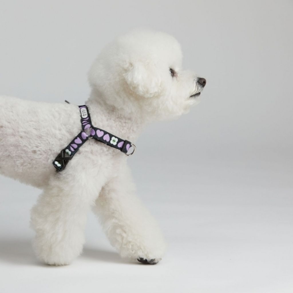 1000000114_detail_362