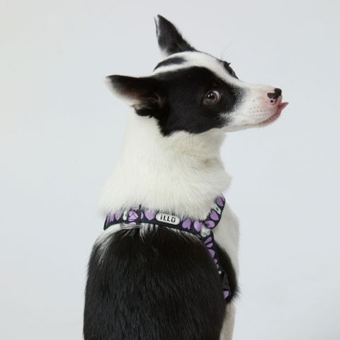 1000000114_detail_267