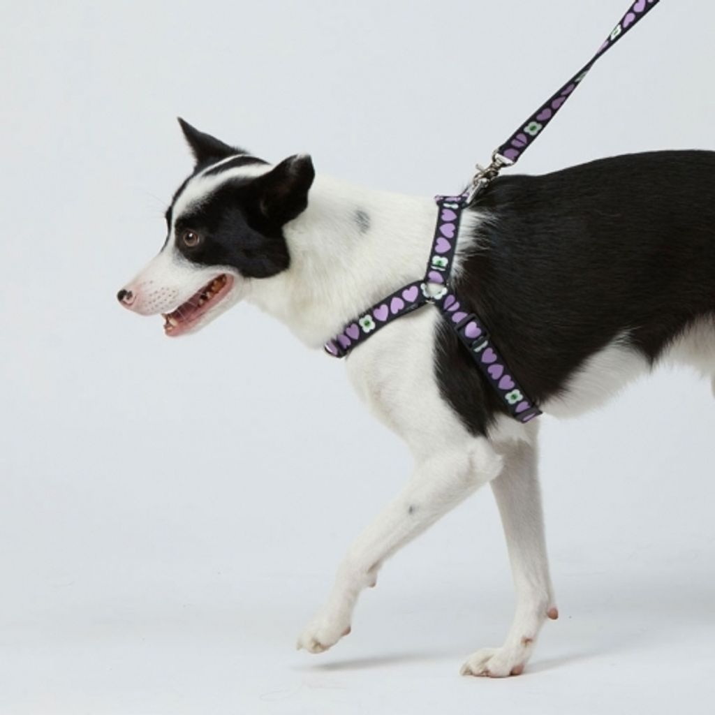 1000000114_detail_116