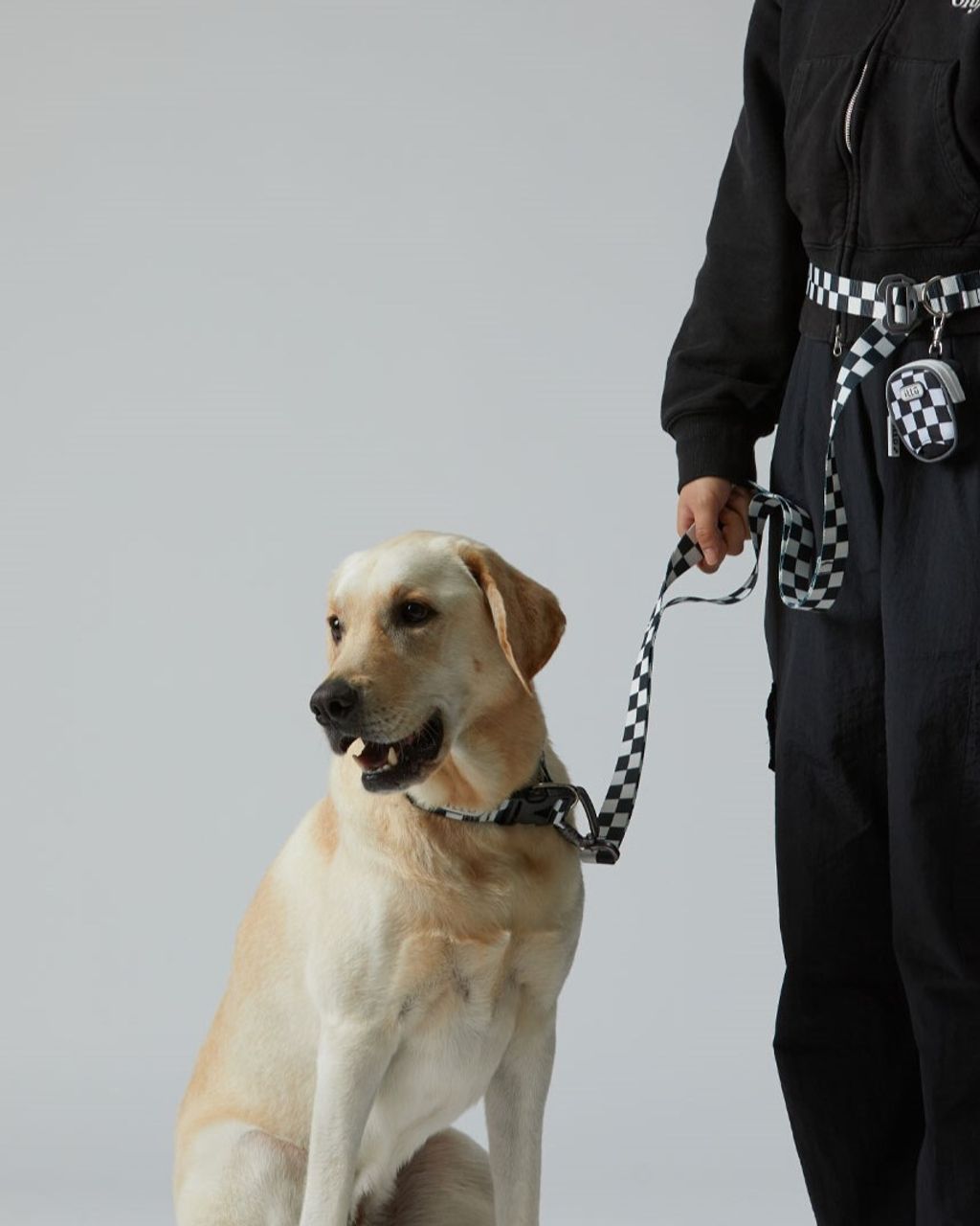 3204f1f087eb113f5af4f5c3b9589e34_1202309