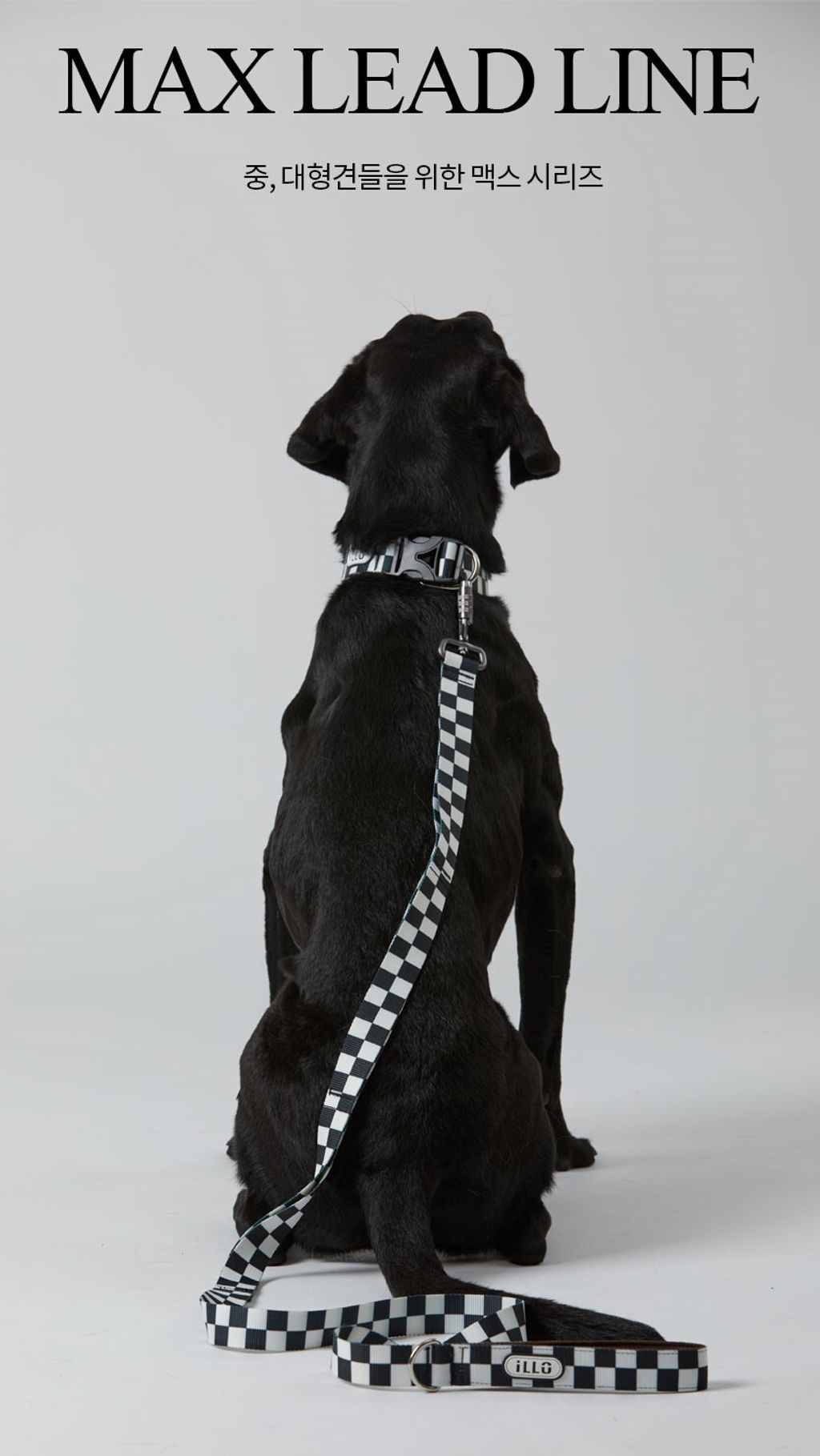 3204f1f087eb113f5af4f5c3b9589e34_1202300