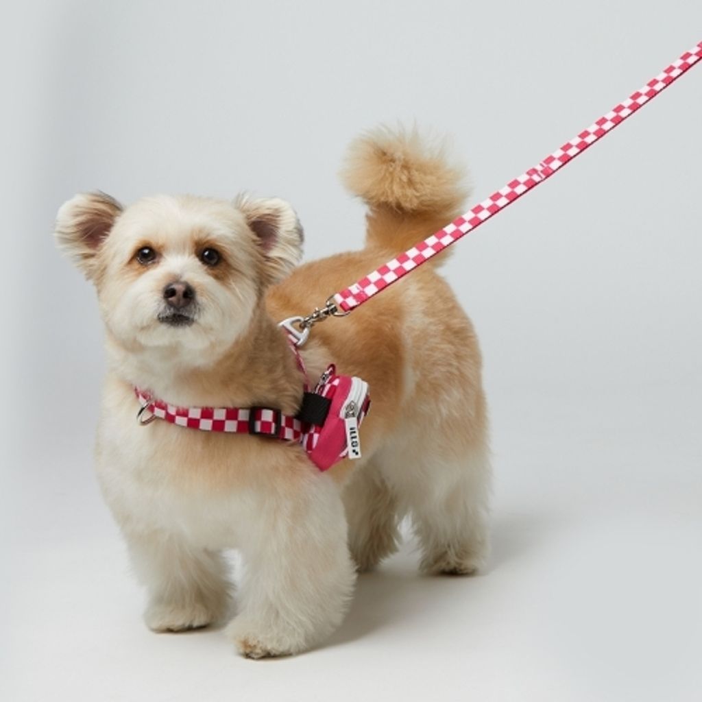 1000000070_detail_273