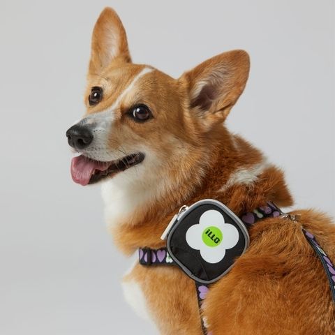 1000000113_detail_122