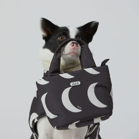 1000000118_detail_365