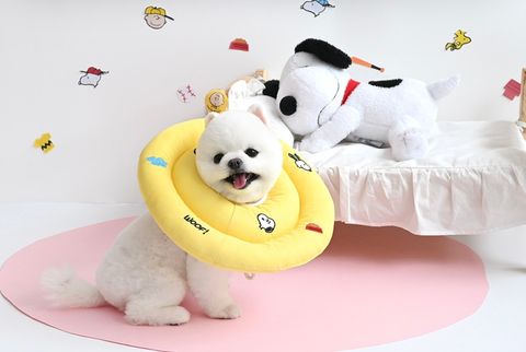 IMG_4235-1716562896139