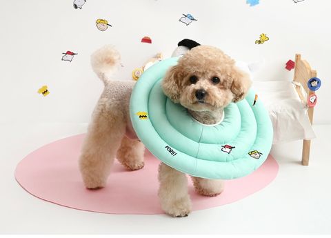 IMG_4234-1716562896143