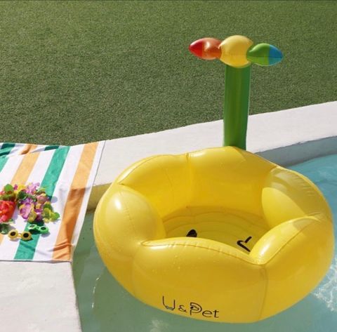 IMG_5688-1718615237924