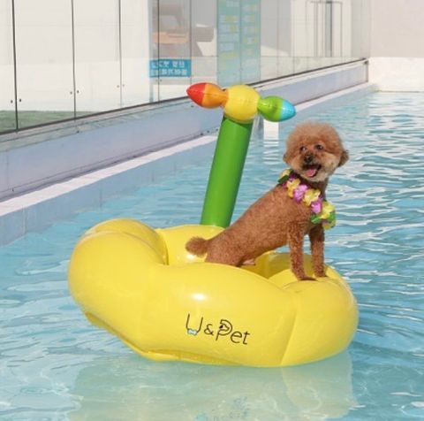 IMG_5684-1718615237955