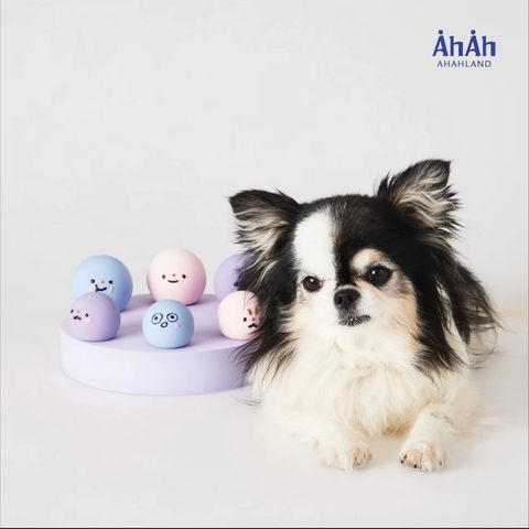 IMG_7671-1721631127529