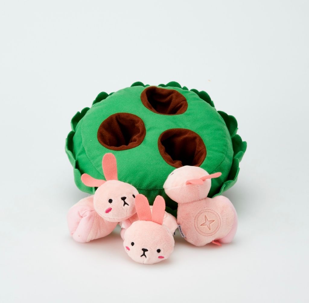 IMG_8058-1722236522234