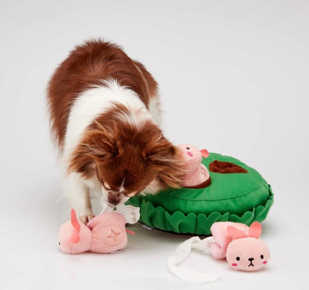 IMG_8057-1722236522229