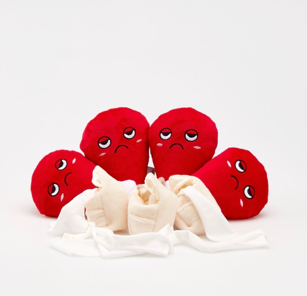 IMG_8091-1722304679667