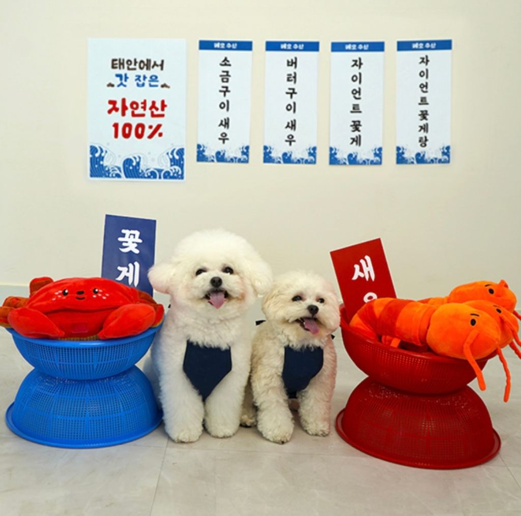 IMG_8123-1722311899586