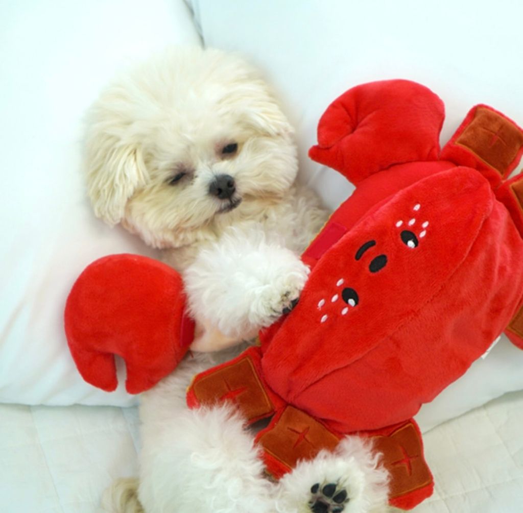 IMG_8121-1722311899589