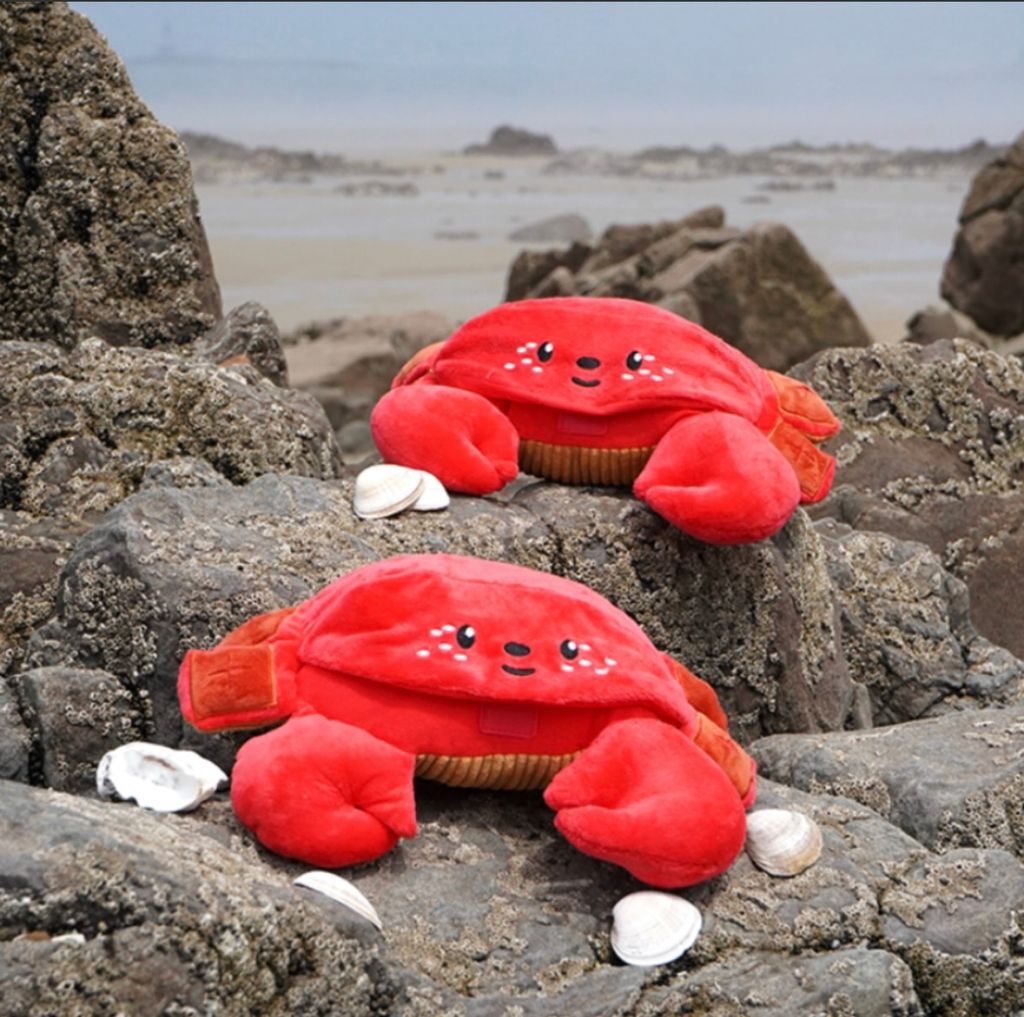 IMG_8122-1722311899592