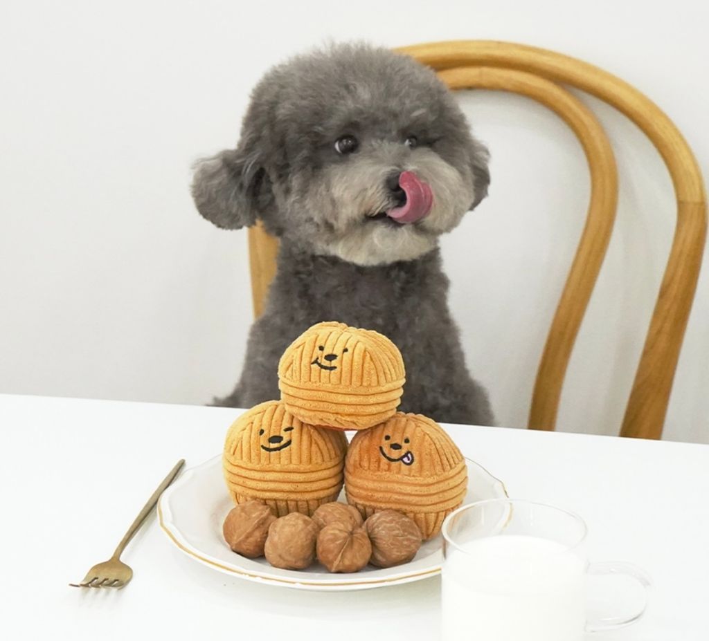 IMG_8242-1722483497521