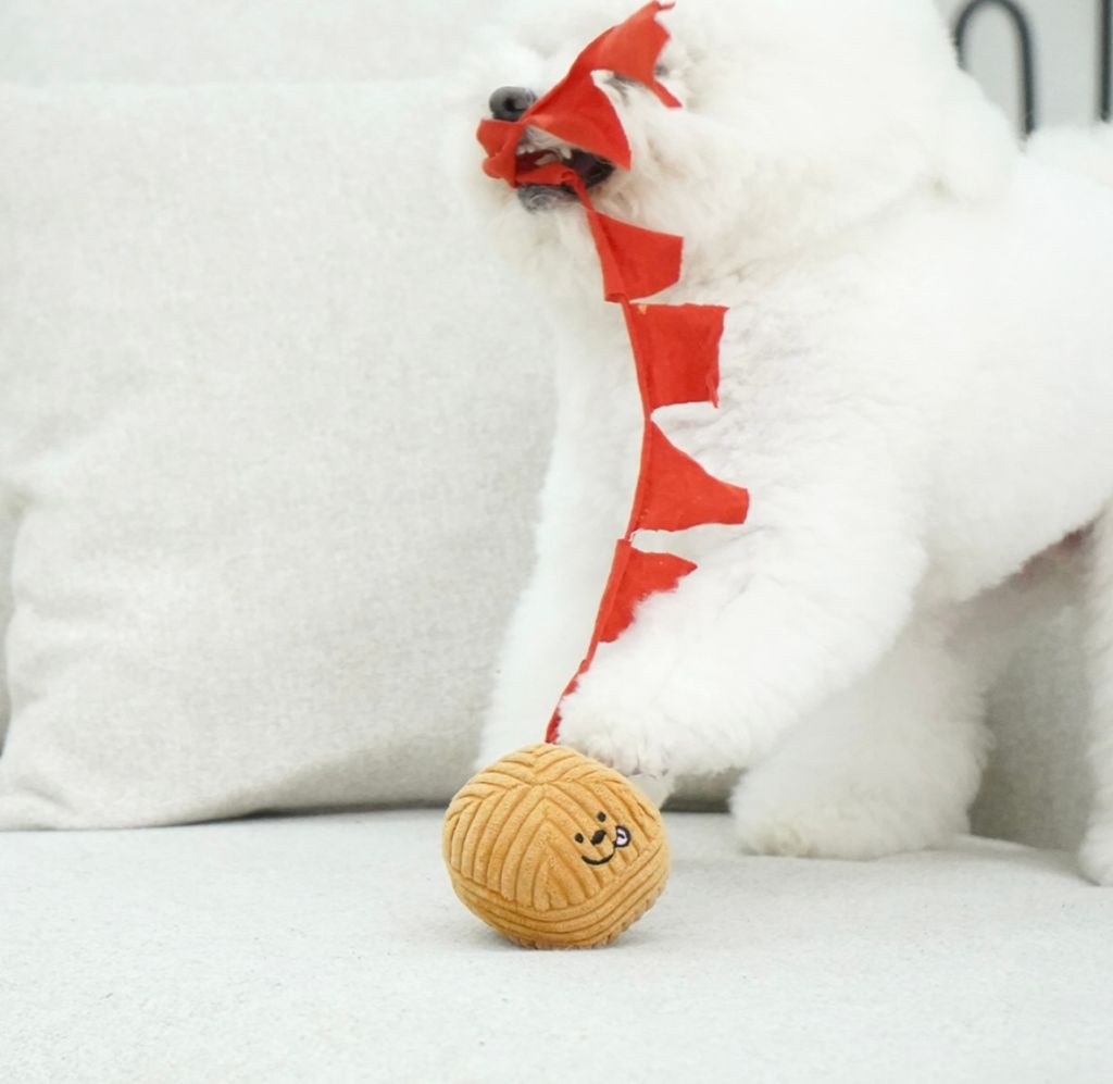 IMG_8244-1722483497533