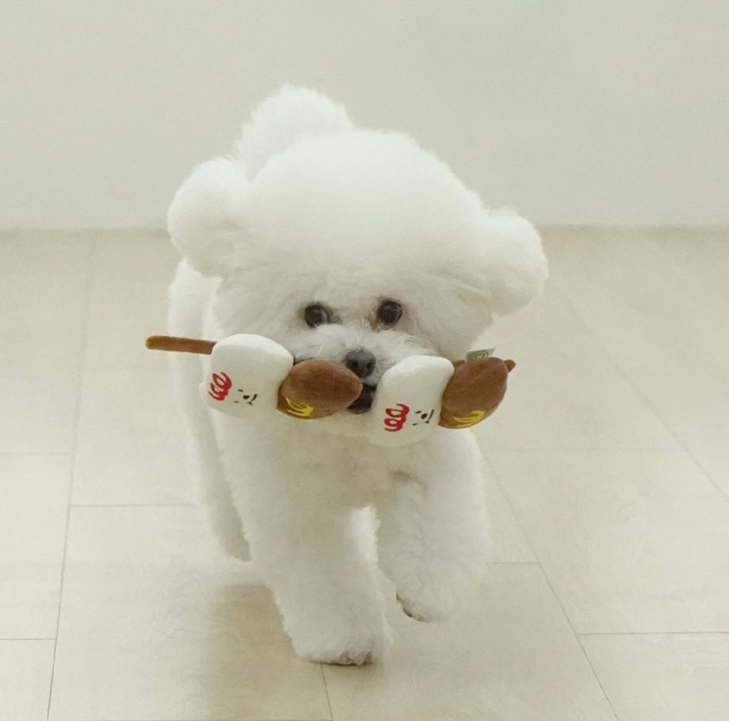 IMG_8252-1722491677138