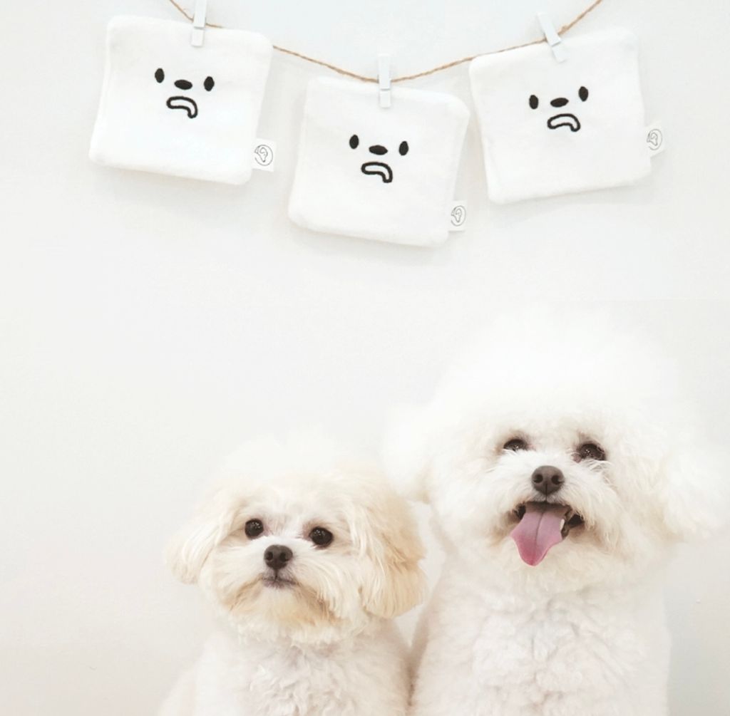 IMG_8257-1722492263273