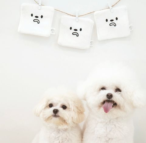 IMG_8257-1722492263273