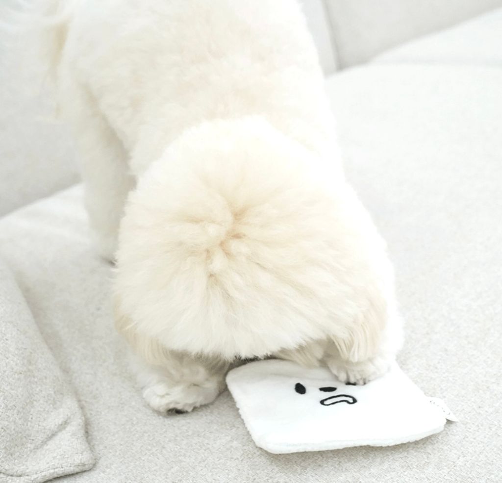 IMG_8256-1722492263280