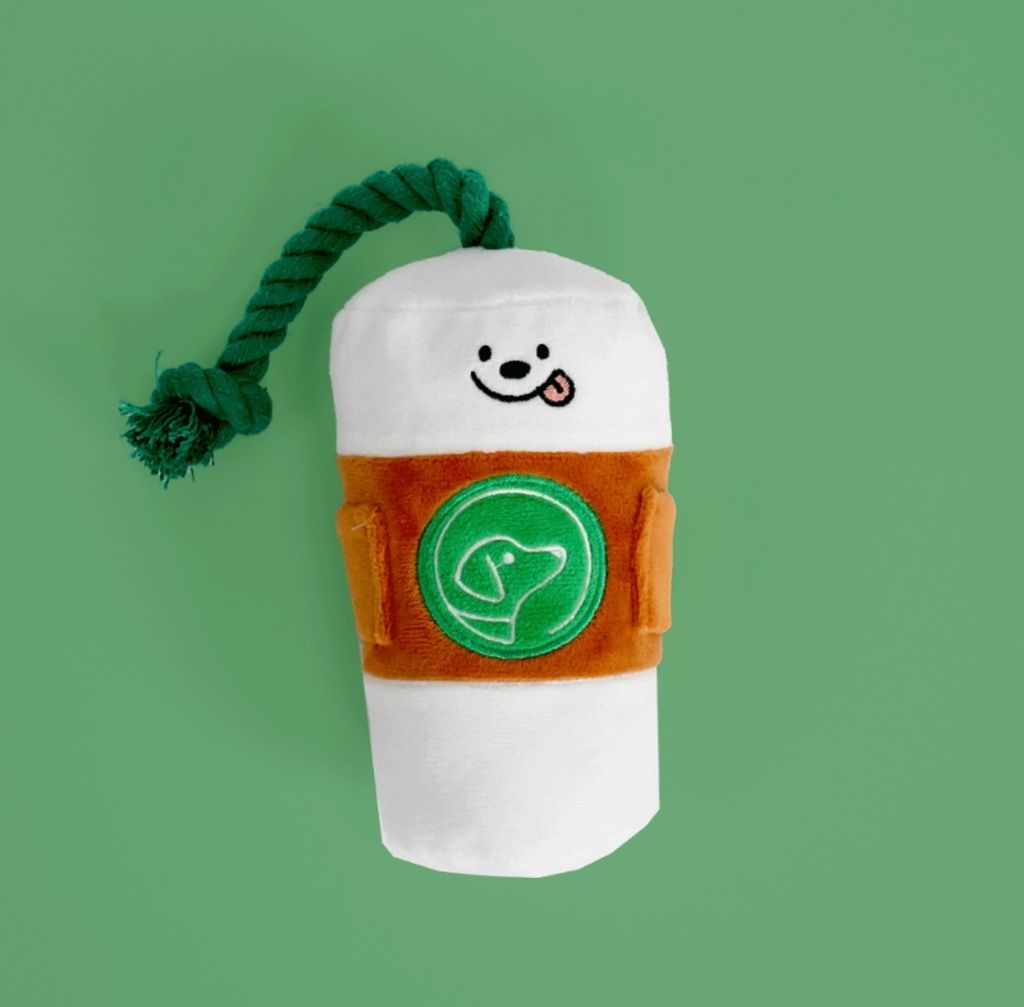 IMG_8258-1722493222937